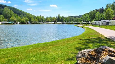 forelvijver ardennen|Vissen